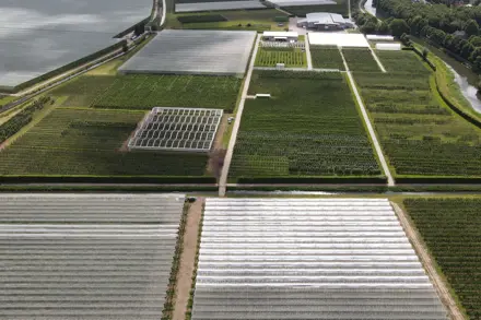 Open dag FRC Randwijk 2026