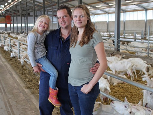 Geitenhouder Veldhuizen Switch koeien naar melkgeiten