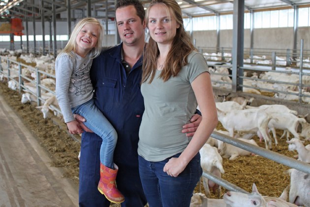 Geitenhouder Veldhuizen Switch koeien naar melkgeiten