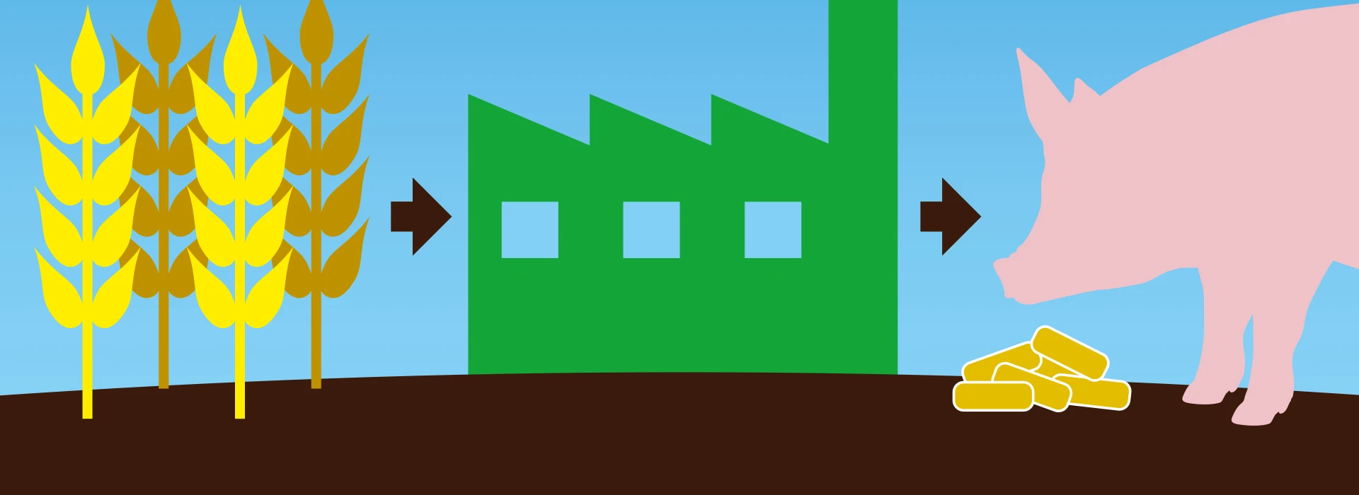 Varken granenfabriek