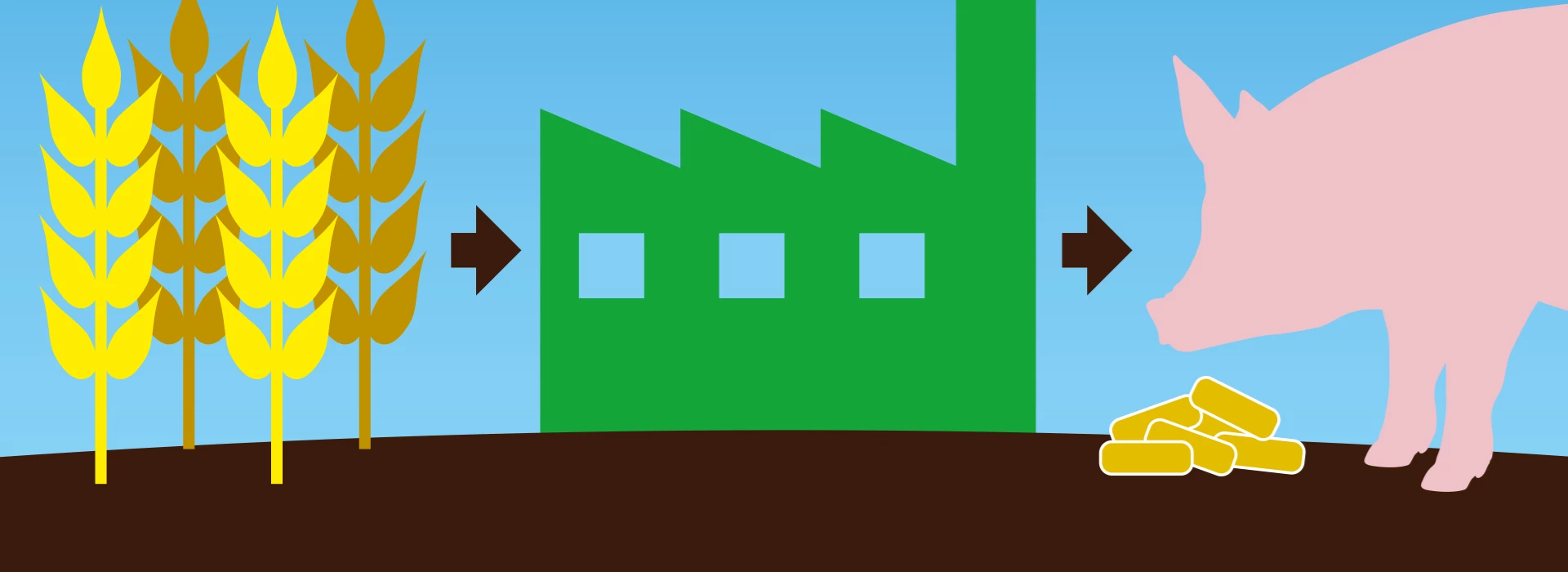 Varken granenfabriek