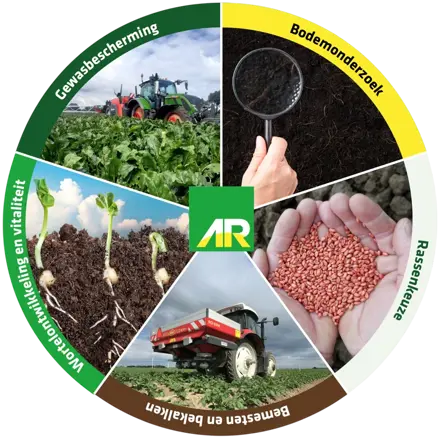 Schijf van vijf akkerbouw