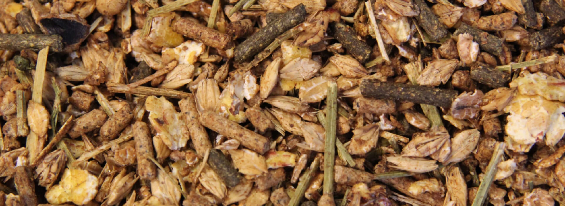 Kalvermuesli AgruniekRijnvallei