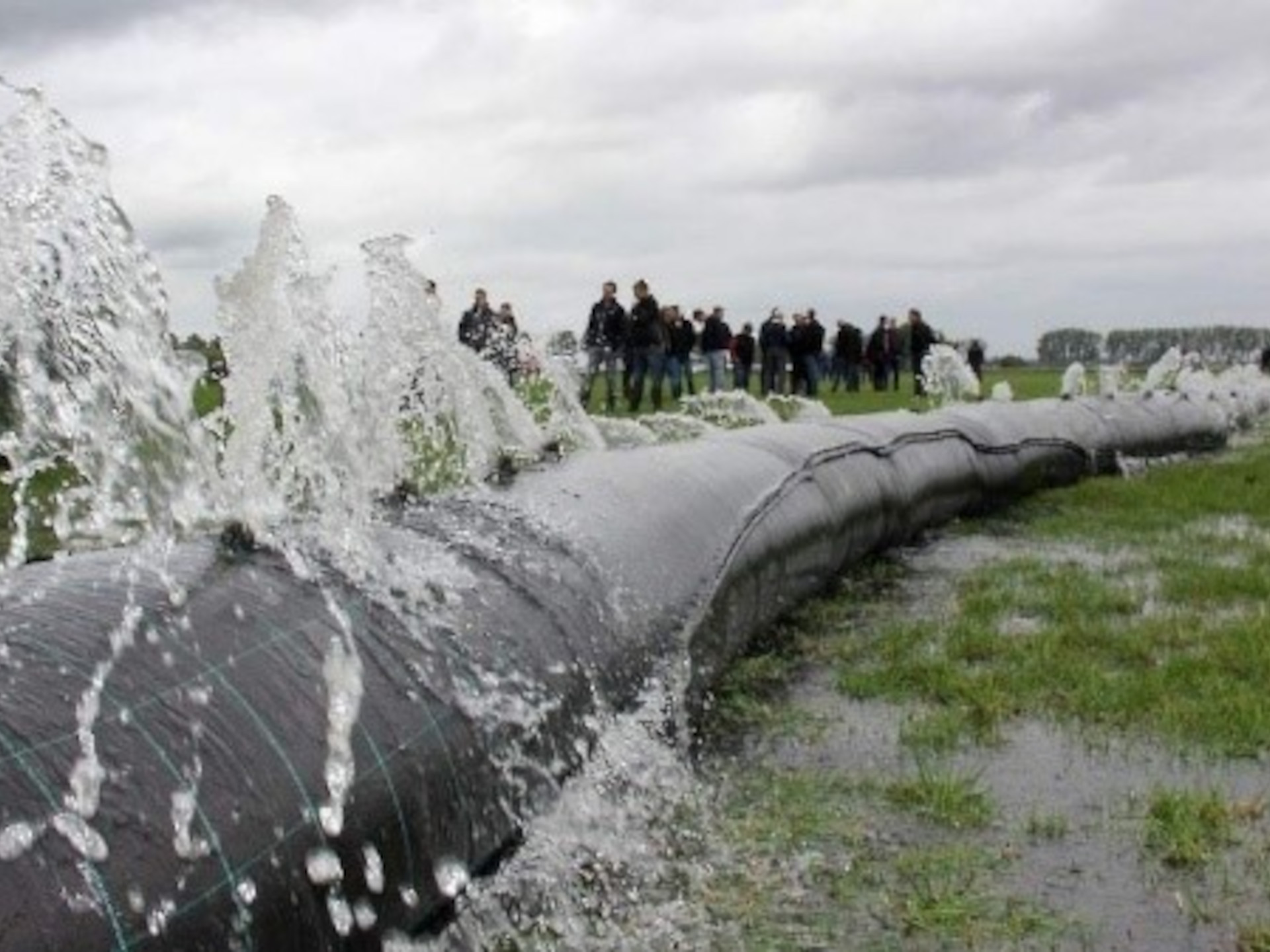Bestrijding muizen grasland