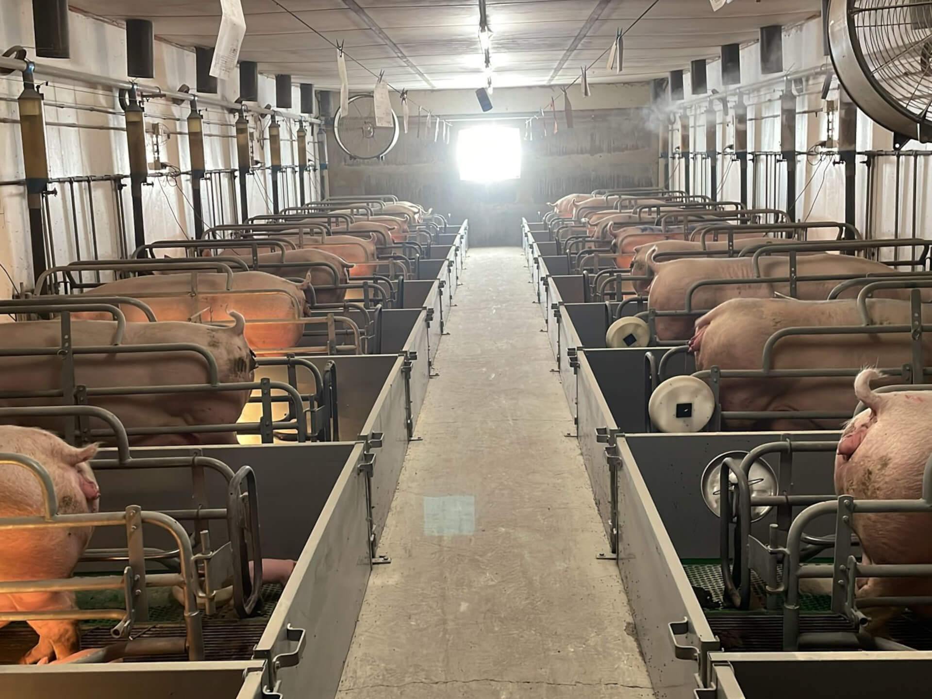 Ecoprops (foto Frans Lemans)