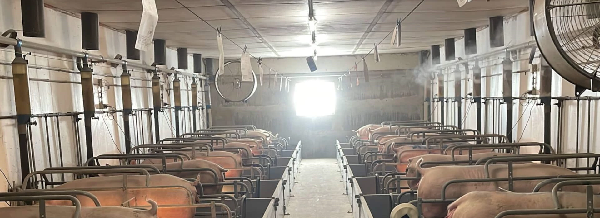 Ecoprops (foto Frans Lemans)