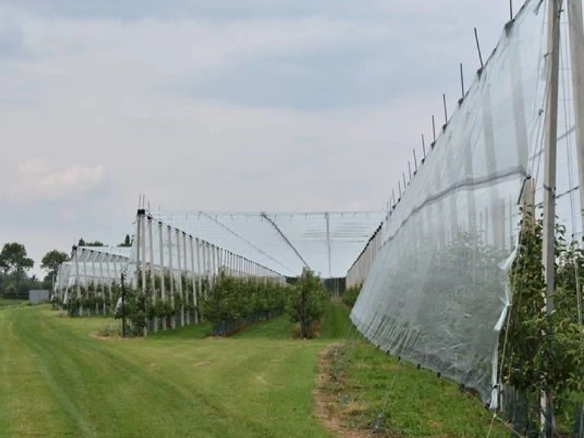 Multiple Protect Hail System