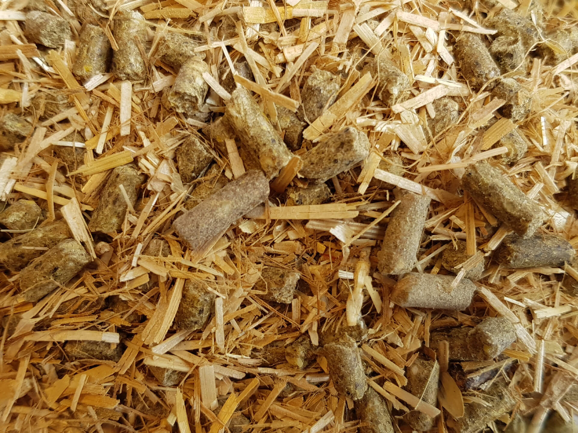 AR Kalver TMR AgruniekRijnvallei