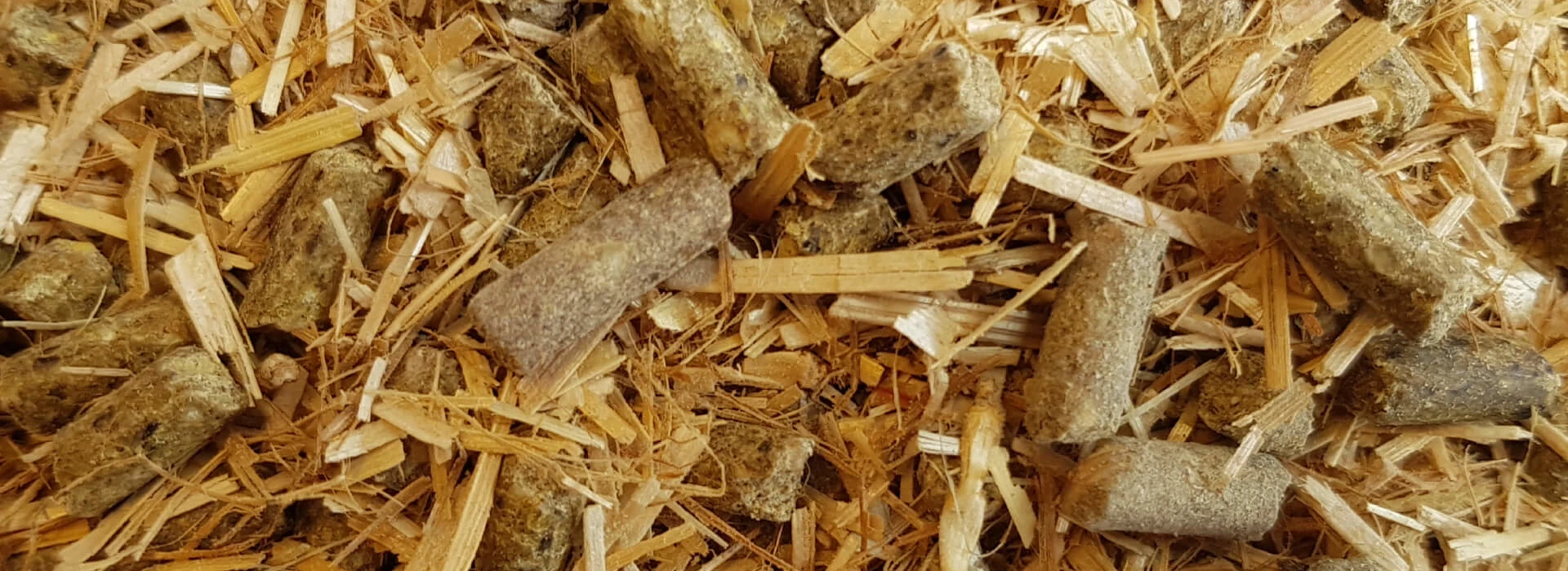 AR Kalver TMR AgruniekRijnvallei