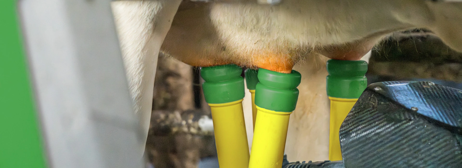 Melkrobot familie jochemsen