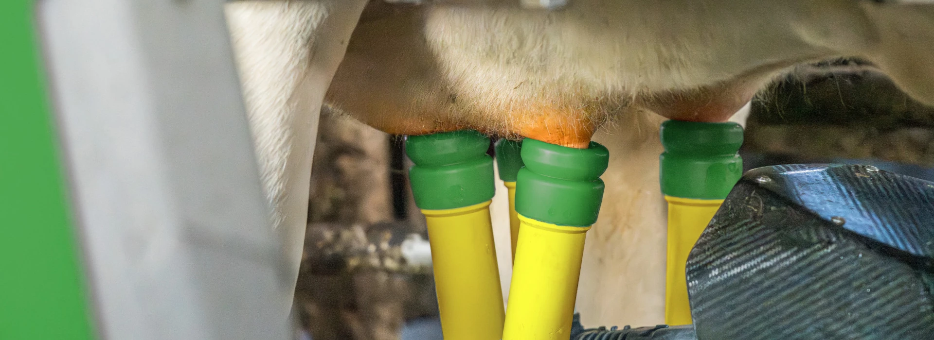 Melkrobot familie jochemsen