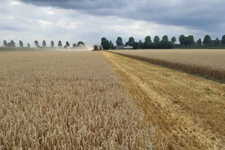 Akkerbouwdemodag | Neerijnen
