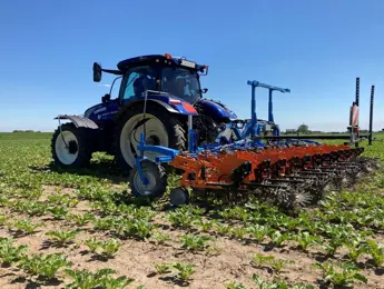 Gewasbescherming en onkruidbeheersing