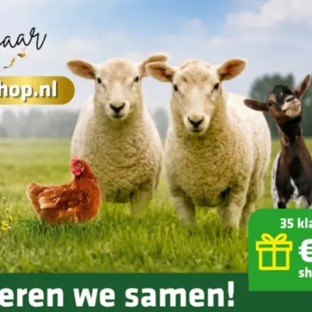 5 Jaar ARwebshop