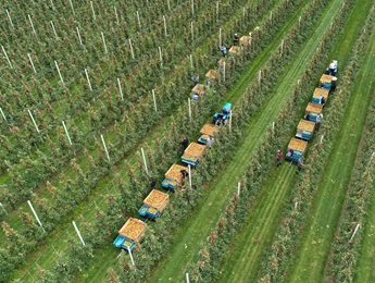 AgruniekRijnvallei Plant B.V.