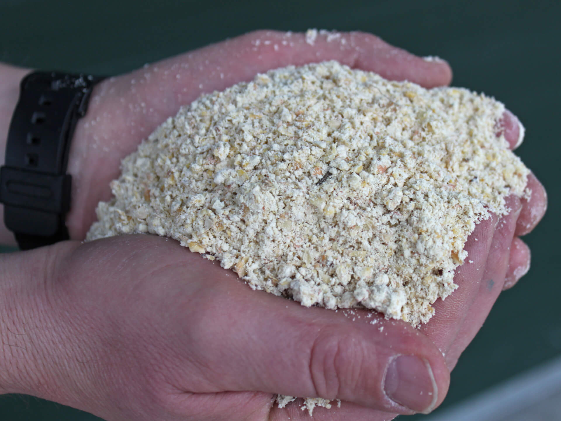 Hand met CCM Varkenshouder Schulting