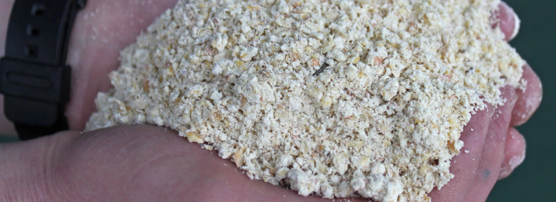 Hand met CCM Varkenshouder Schulting