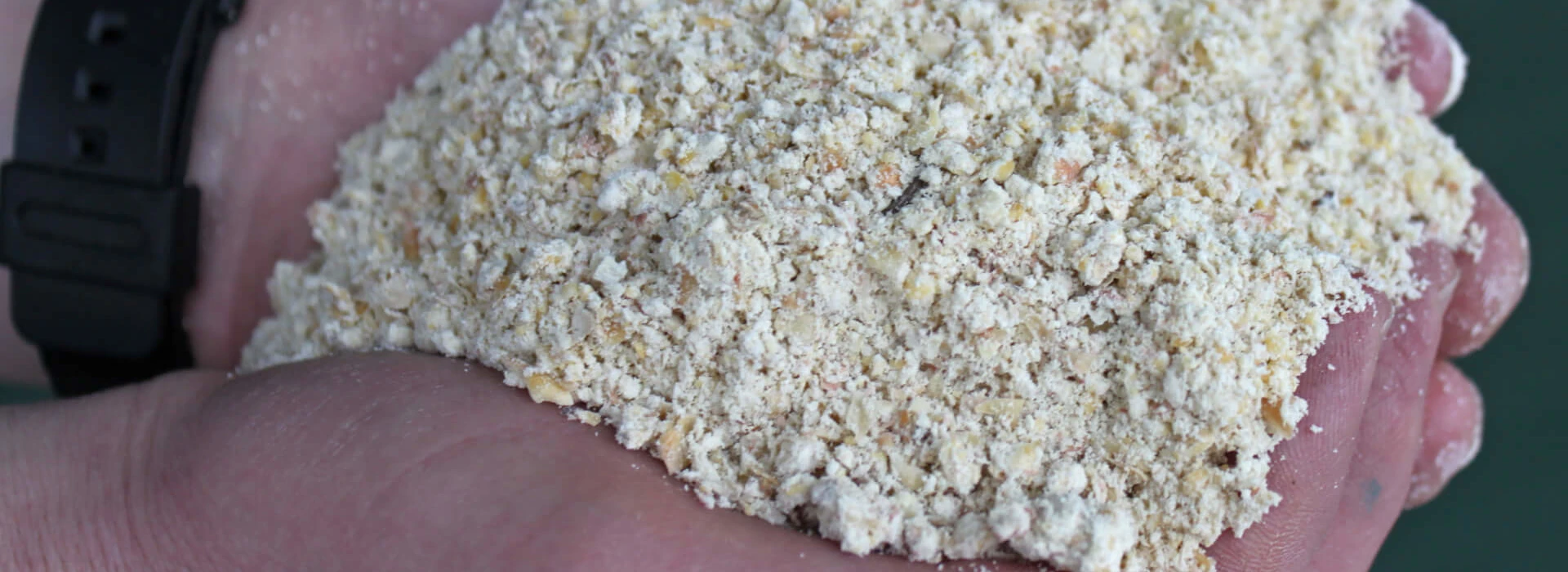 Hand met CCM Varkenshouder Schulting