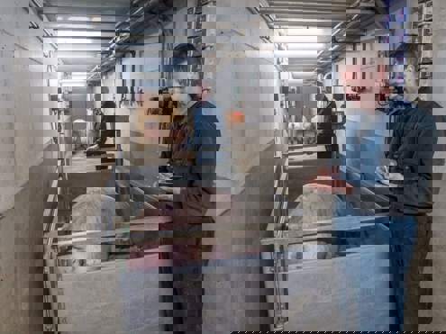 Biggenvermeerderaars Sesink uit Steenderen