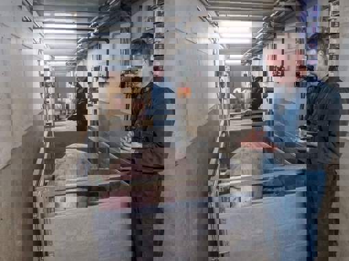 Biggenvermeerderaars Sesink uit Steenderen