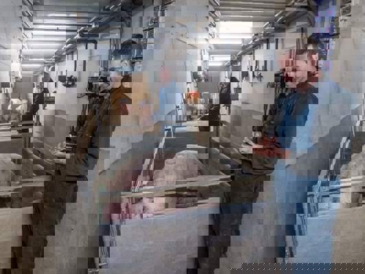 Biggenvermeerderaars Sesink uit Steenderen