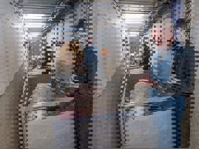 Biggenvermeerderaars Sesink uit Steenderen