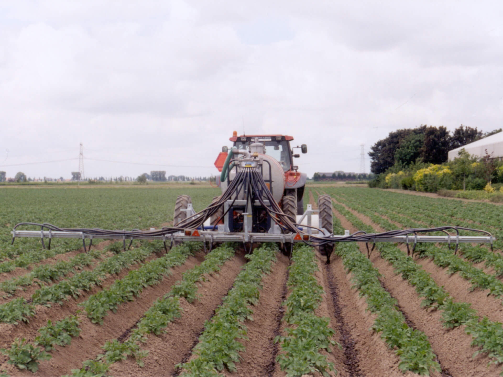 Onkruidbestrijding aardappels