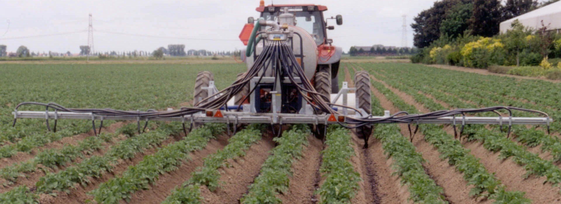Onkruidbestrijding aardappels