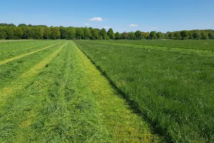 Grasdemo Aalten 2026
