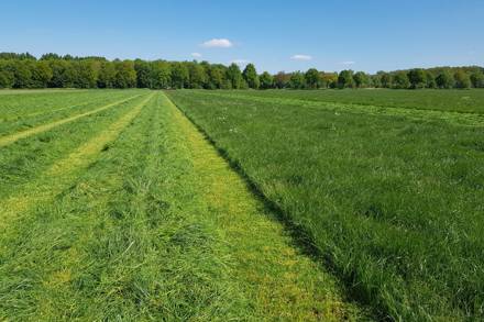 Grasdemo Aalten 2026