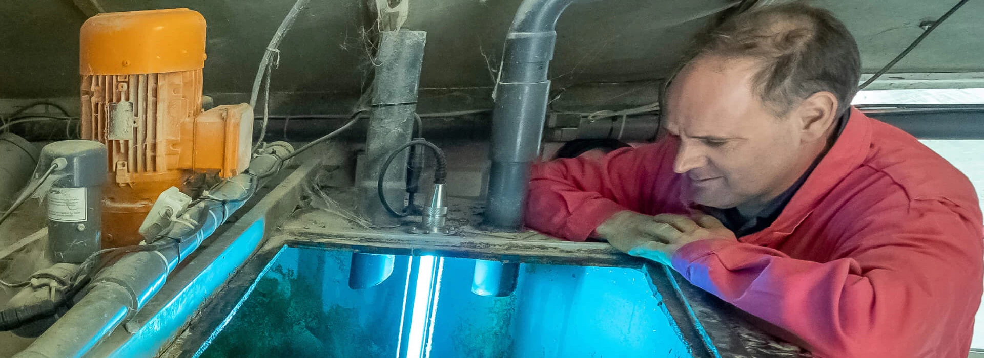 Varkenshouder Edward Teunissen uit Wehl