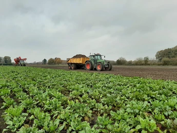 Oogst en voerstrategie