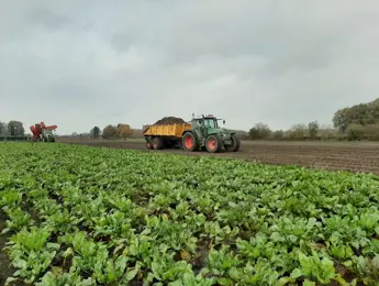 Oogst en voerstrategie