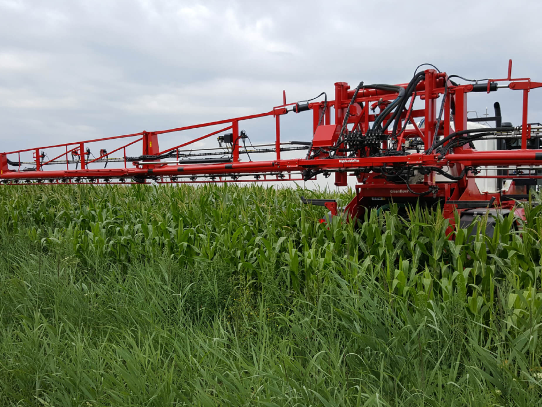 Gewasbeschermingsmiddelen bestrijding bladvlekziekte mais