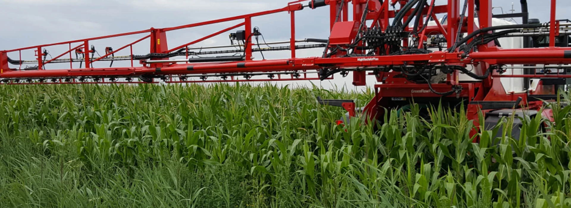 Gewasbeschermingsmiddelen bestrijding bladvlekziekte mais