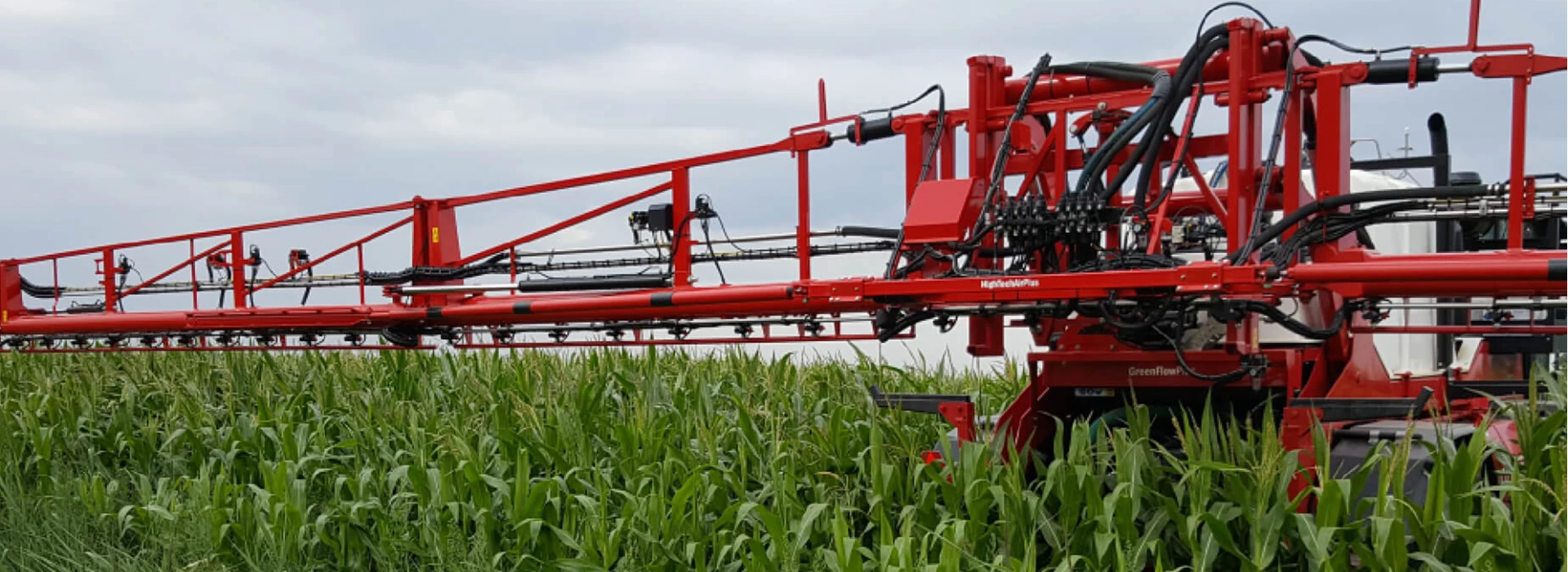 Gewasbeschermingsmiddelen bestrijding bladvlekziekte mais