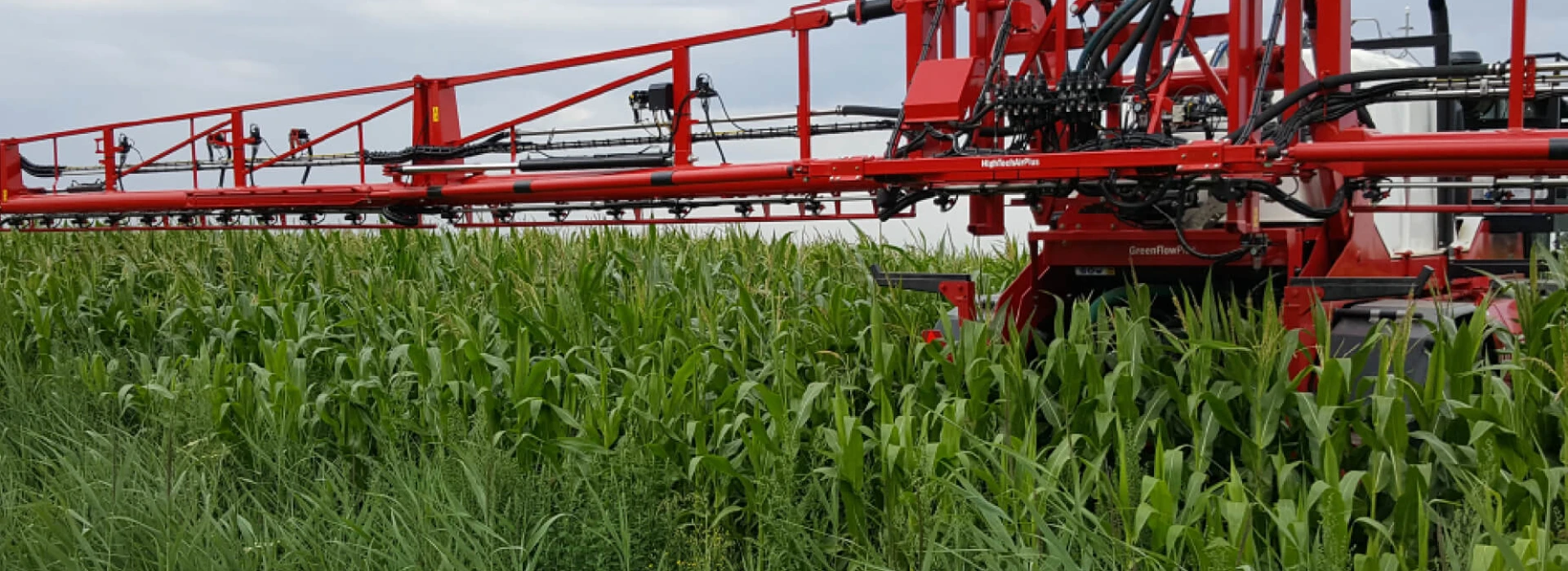 Gewasbeschermingsmiddelen bestrijding bladvlekziekte mais