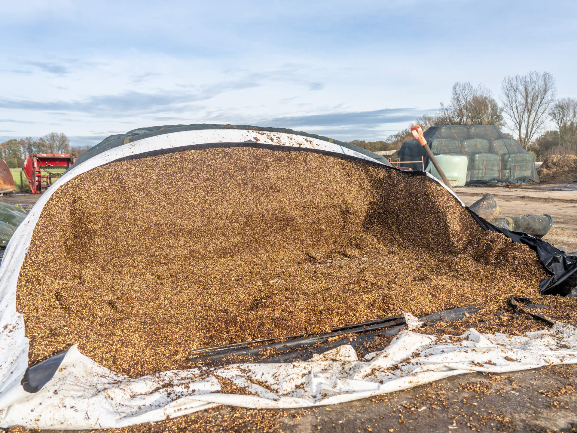 Sodagrain Power slurf