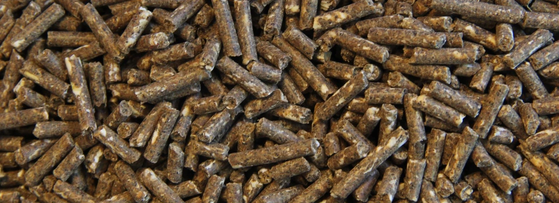 Celgetal Vitaal Korrel