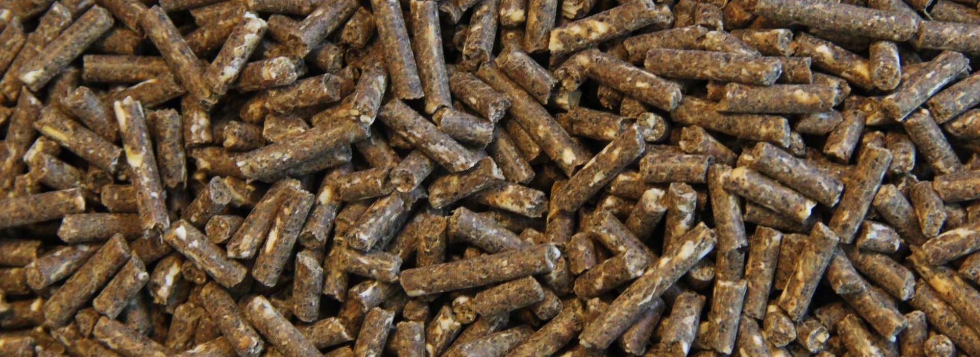 Celgetal Vitaal Korrel