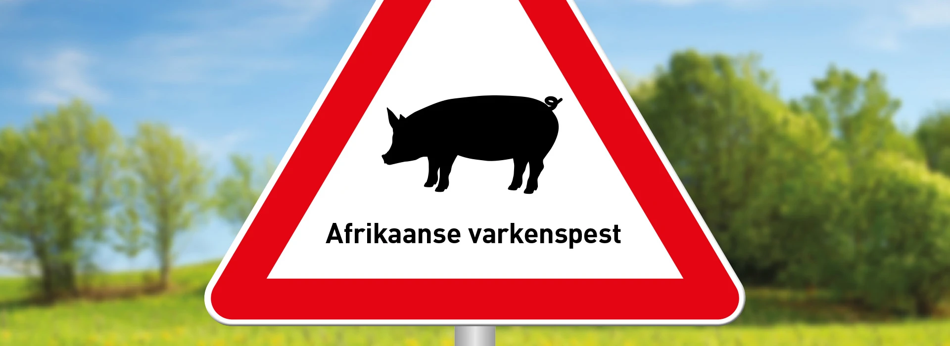 Bord Afrikaanse varkenspest