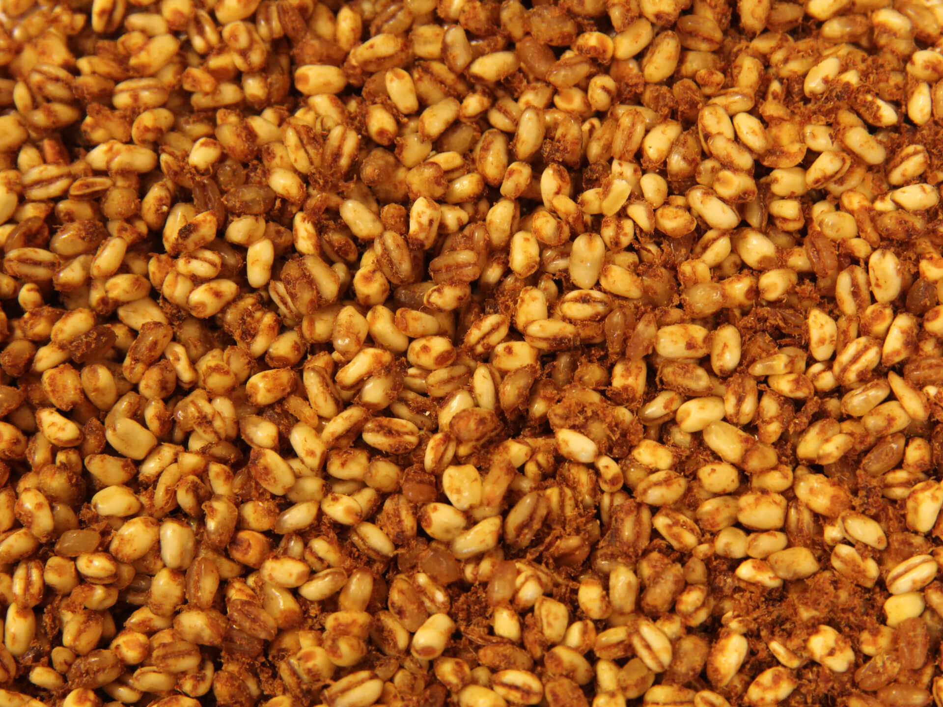 Sodagrain AgruniekRijnvallei Voeders