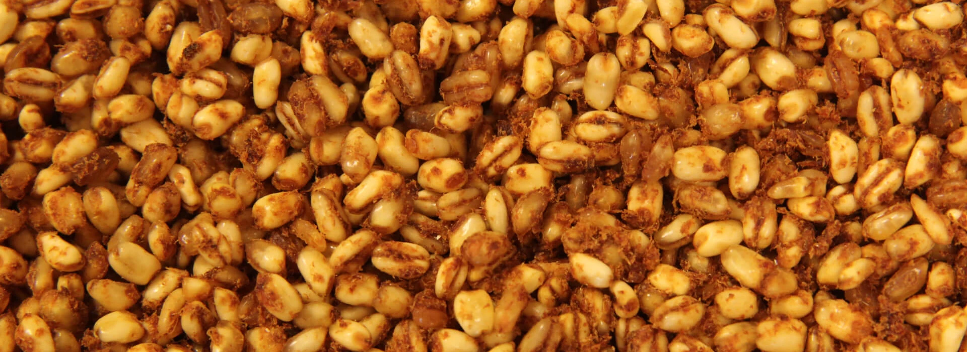 Sodagrain AgruniekRijnvallei Voeders