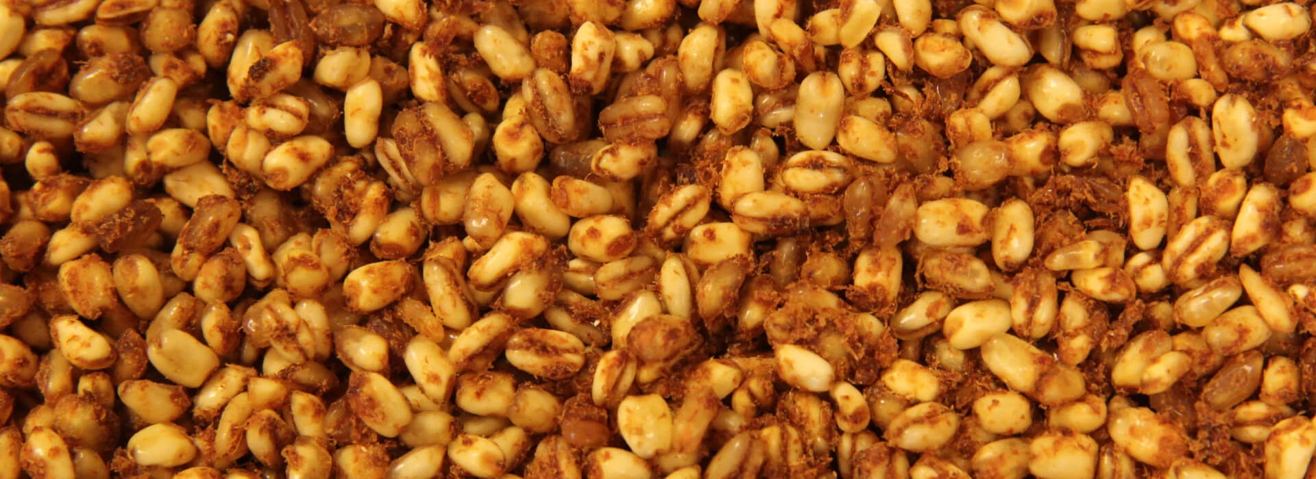 Sodagrain AgruniekRijnvallei Voeders