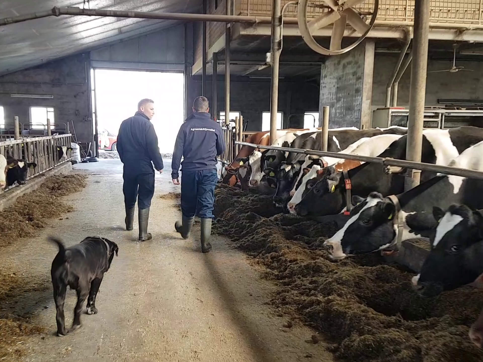 Stages en afstudeeropdrachten voer