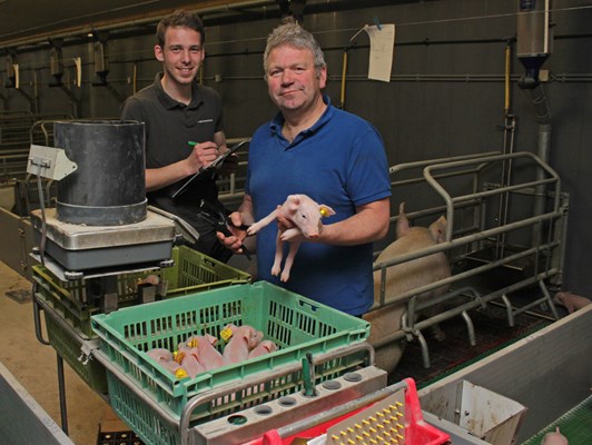 Varkenshouders Pieter Post en Klaas Mijnheer