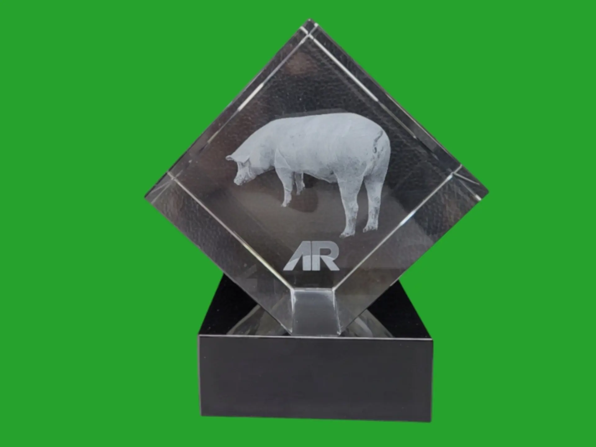 AR Varkensaward 
