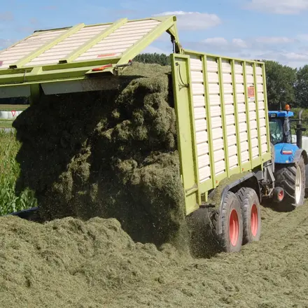 Gras inkuilen