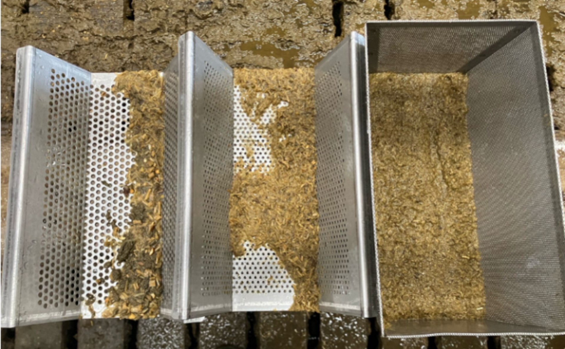 Verschil wel of niet toepassen VLOG Mais Verteermix in het rantsoen