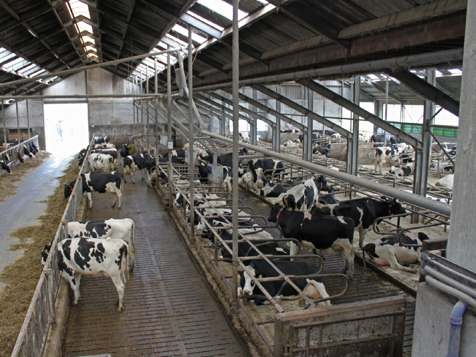 Emissiearme stalsystemen